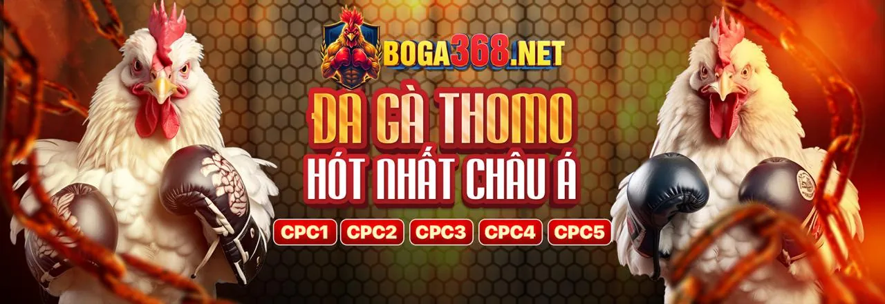 Sân chơi Đá Gà trực tuyến kịch tính tại hm88 nổ hũ
